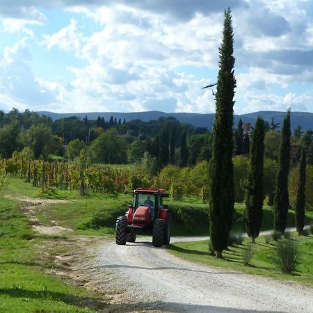 Agriturismo La Grotta Di Montecchino 시에나 외부 사진