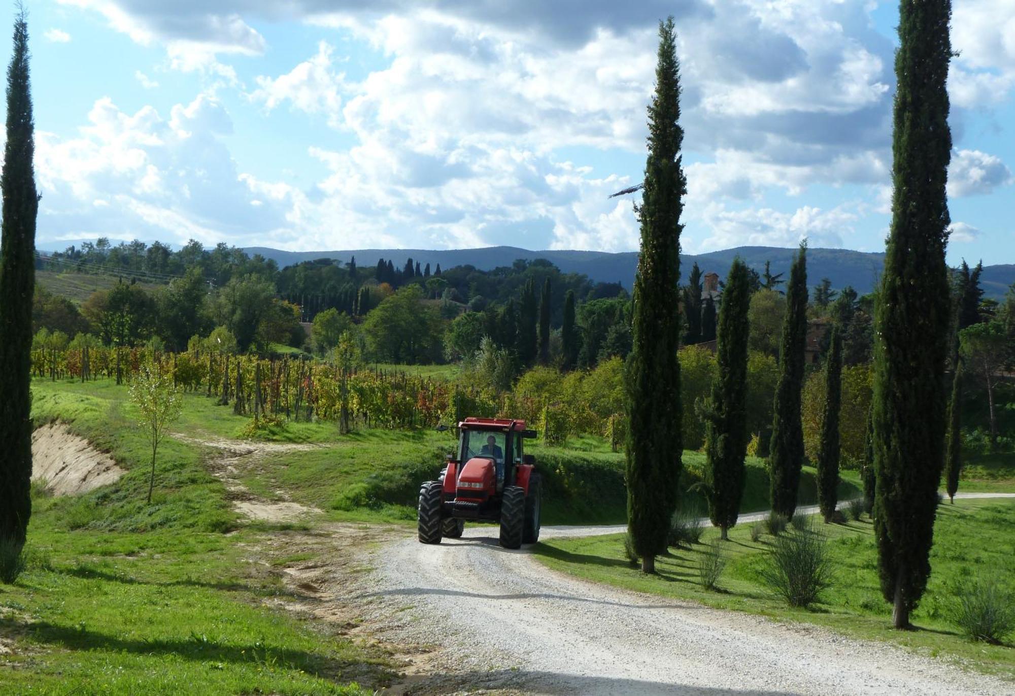 Agriturismo La Grotta Di Montecchino 시에나 외부 사진